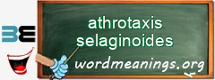 WordMeaning blackboard for athrotaxis selaginoides